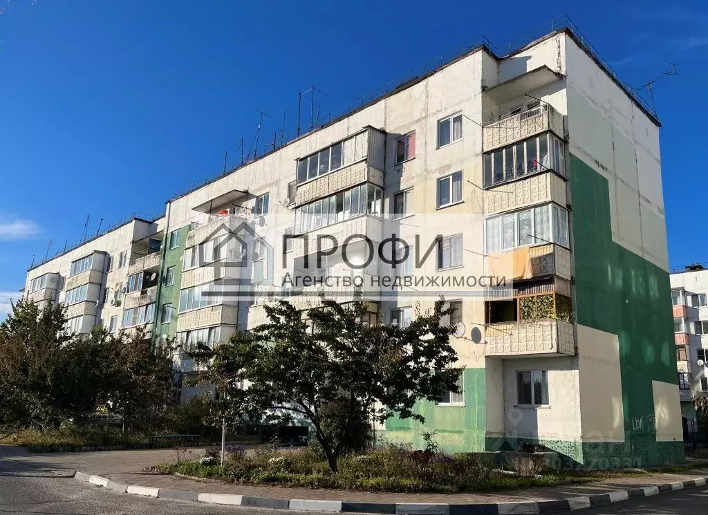 4-к кв. Белгородская область, Новый Оскол Ливенская ул., 126 (74.6 м) - Фото 1