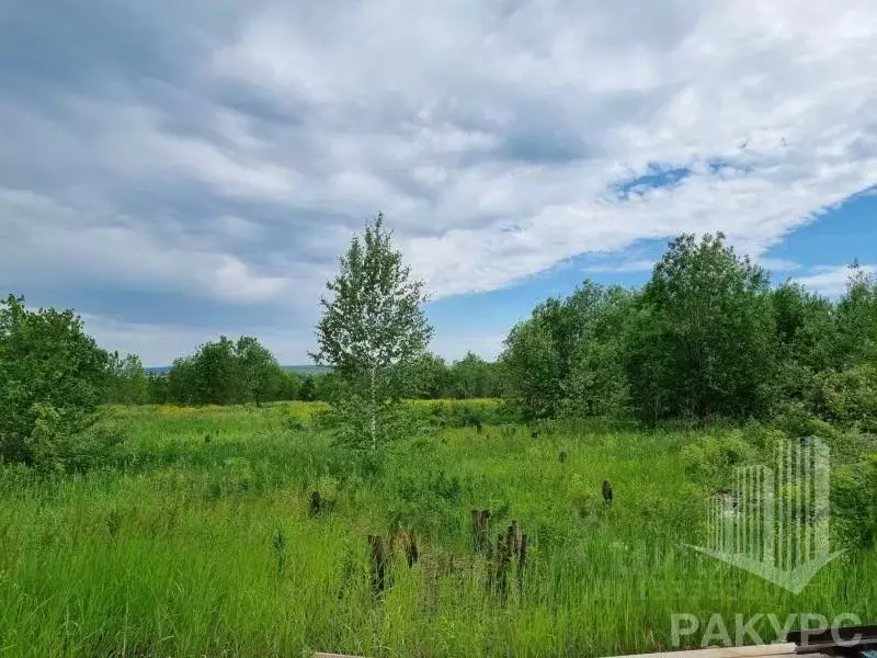 Участок в Пермский край, пос. Протасы, 7-й кв-л  (8.21 сот.) - Фото 0
