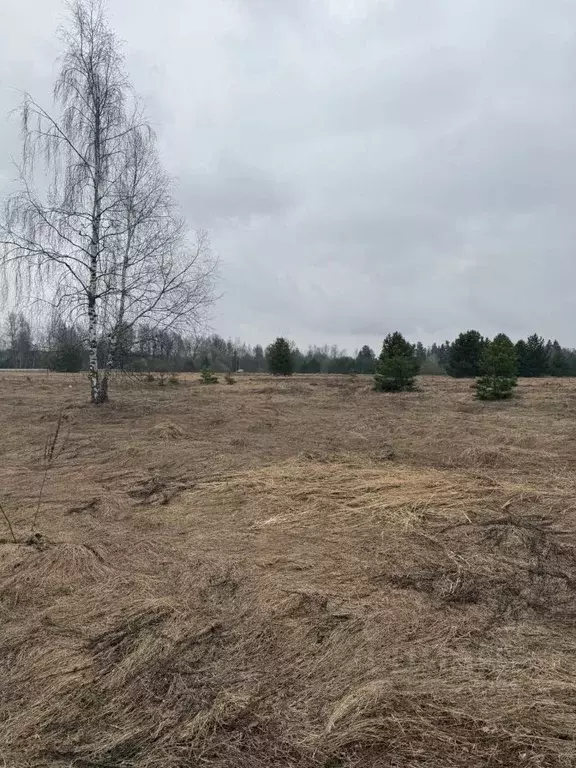 Участок в Московская область, Орехово-Зуевский городской округ, д. ... - Фото 2