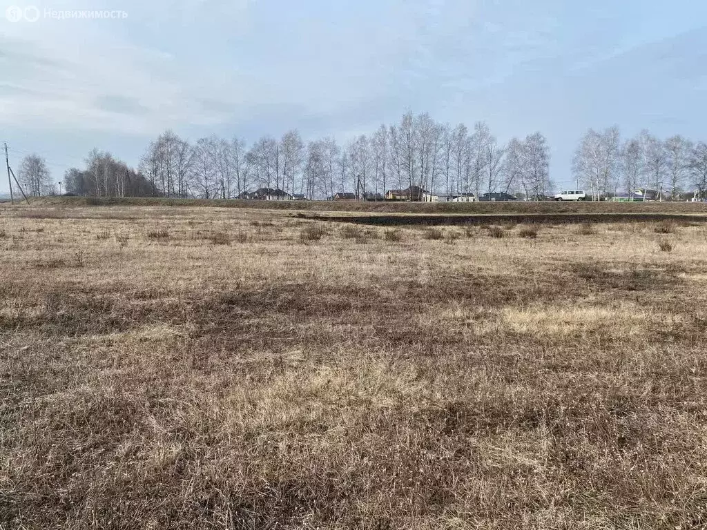 Участок в Белгородский район, Хохловское сельское поселение, село ... - Фото 2