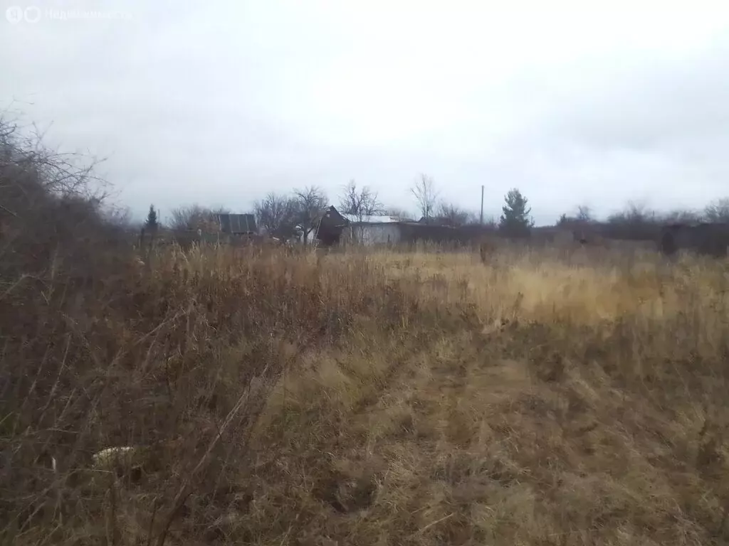 Участок в Пензенский район, Богословский сельсовет, СДТ Надежда (4 м) - Фото 2