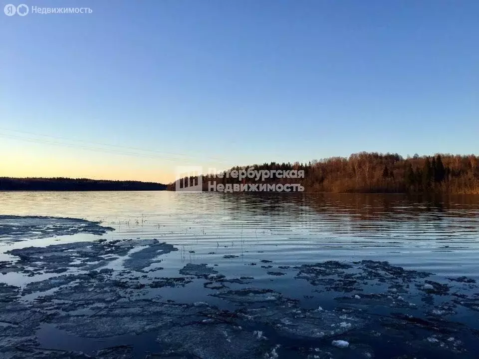 Участок в Рощинское сельское поселение, деревня Борисово, Лесная улица ... - Фото 1