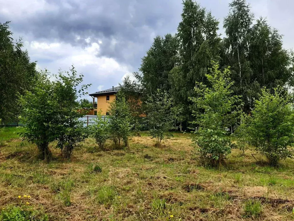 Участок, 6 сот., поселения (ижс) - Фото 1