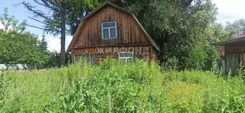 Участок в Новосибирская область, Новосибирск Темп СНТ, ул. Главная ... - Фото 1