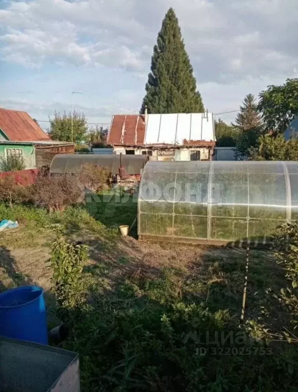 Дом в Новосибирская область, Новосибирский район, Кудряшовский ... - Фото 2