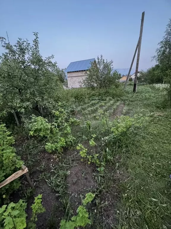 Дом 49 м на участке 8 сот. - Фото 1