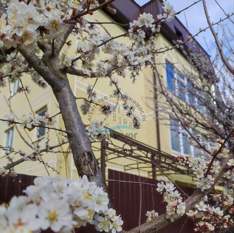 Квартира, студия, 29 м - Фото 0