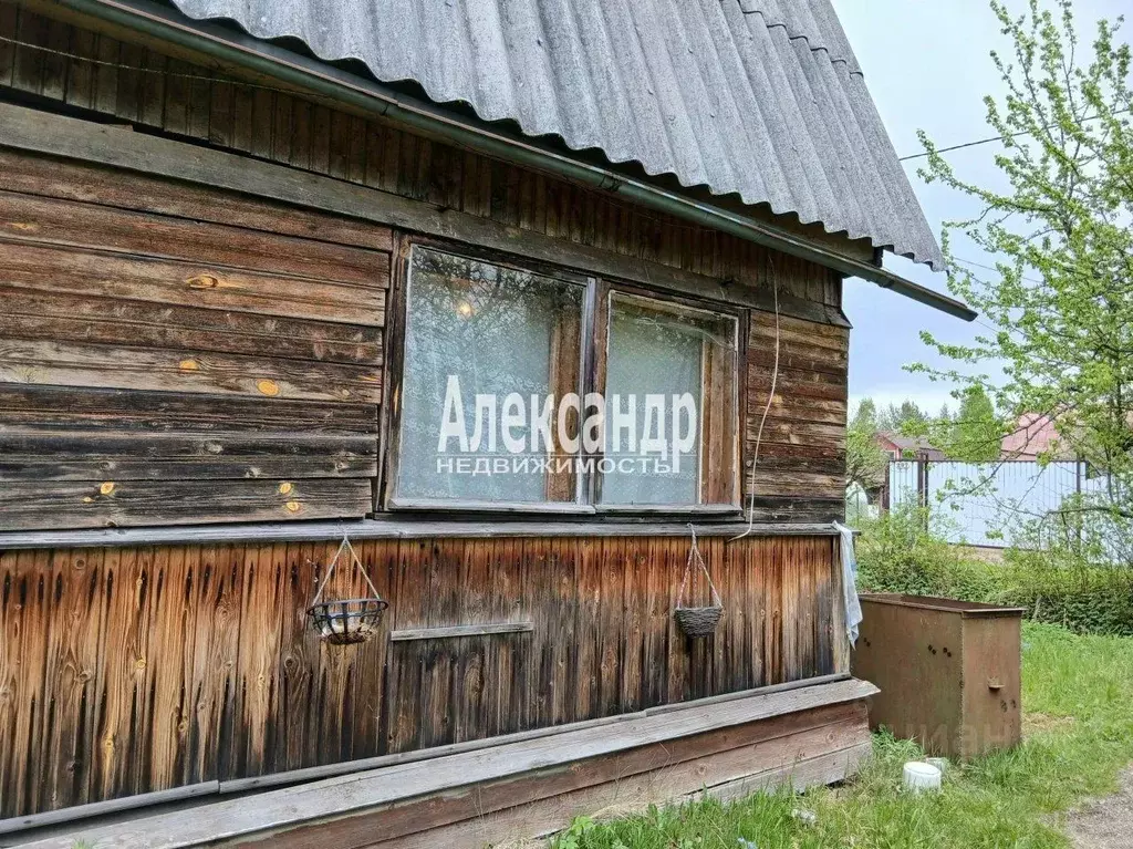 Дом в Ленинградская область, Гатчинский муниципальный округ, Чаща ... - Фото 2
