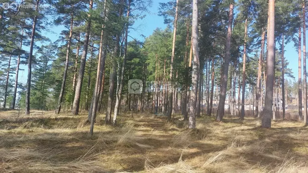 Участок в посёлок Пески, Флагманский проезд (10 м) - Фото 2