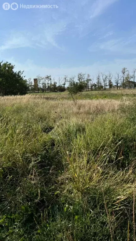Участок в Должанская, Урожайная улица (13.7 м) - Фото 1