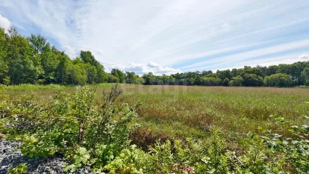 Участок в Сахалинская область, Южно-Сахалинск городской округ, с. ... - Фото 1
