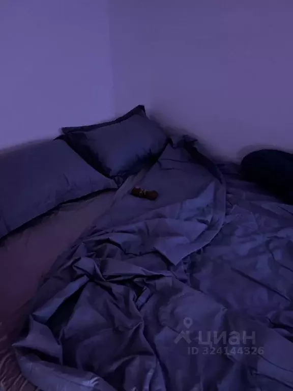 Студия Москва 2-й Амбулаторный проезд, 8С3 (18.0 м) - Фото 2