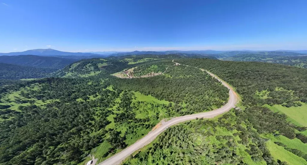 Участок в Алтай, Чемальский район, Узнезинское с/пос  (19.24 сот.) - Фото 1