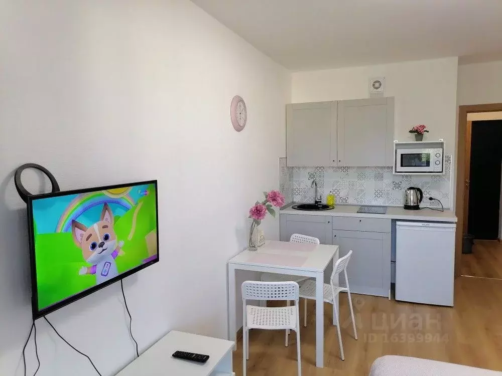 Студия Санкт-Петербург пос. Песочный, Садовая ул., 85 (28.0 м) - Фото 1