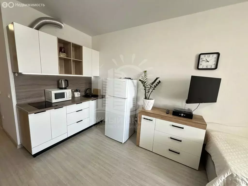 Квартира-студия: Анапа, Супсехское шоссе, 39к16 (28.3 м) - Фото 2