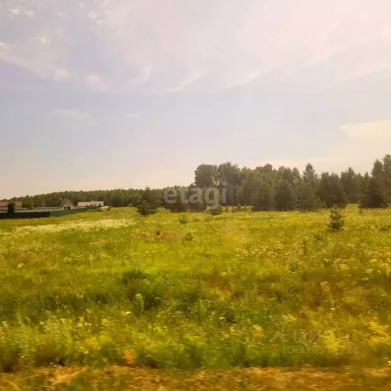 Участок в Владимирская область, Муром д. Коржавино, ул. Лесная, 8 ... - Фото 1