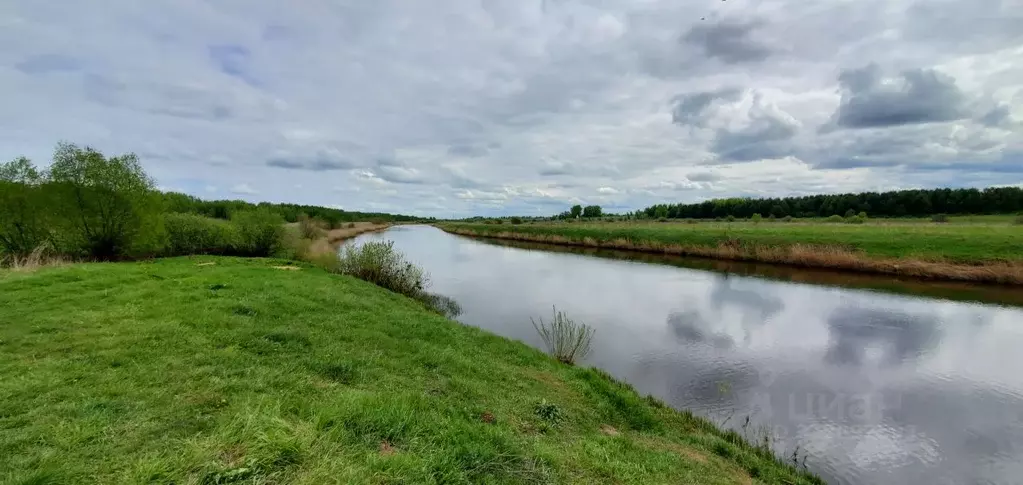 Участок в Владимирская область, Суздальский район, Селецкое ... - Фото 1