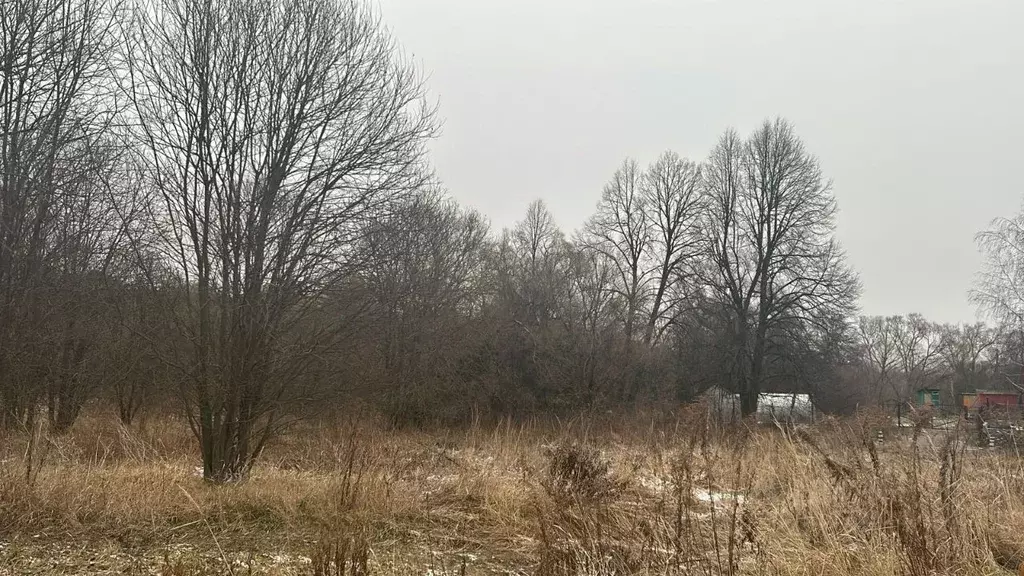 Участок в Московская область, Ступино городской округ, д. Дворяниново  ... - Фото 0