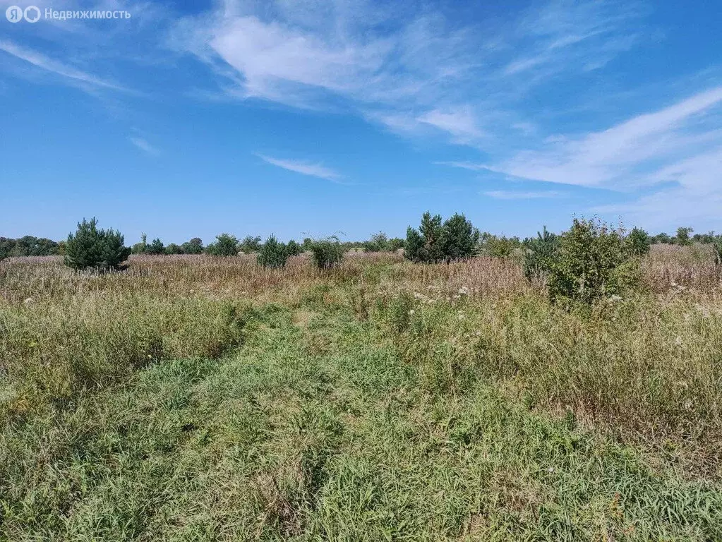 Участок в Большая Ирба, посёлок городского типа Большая Ирба (4.3 м) - Фото 2