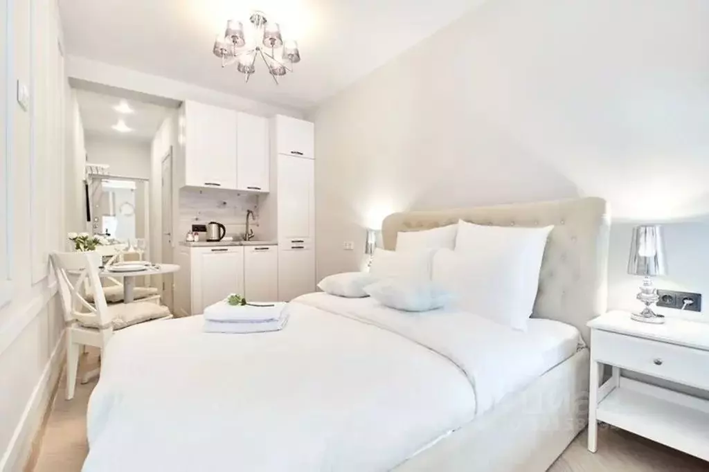 1-к кв. Санкт-Петербург ул. Черняховского, 52 (20.0 м) - Фото 1