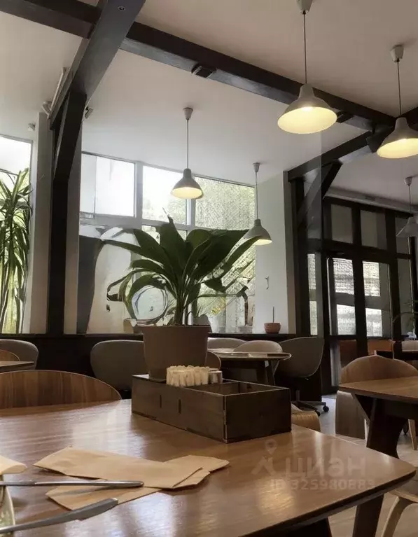 Торговая площадь в Краснодарский край, Краснодар Красная ул., 149 (100 ... - Фото 2