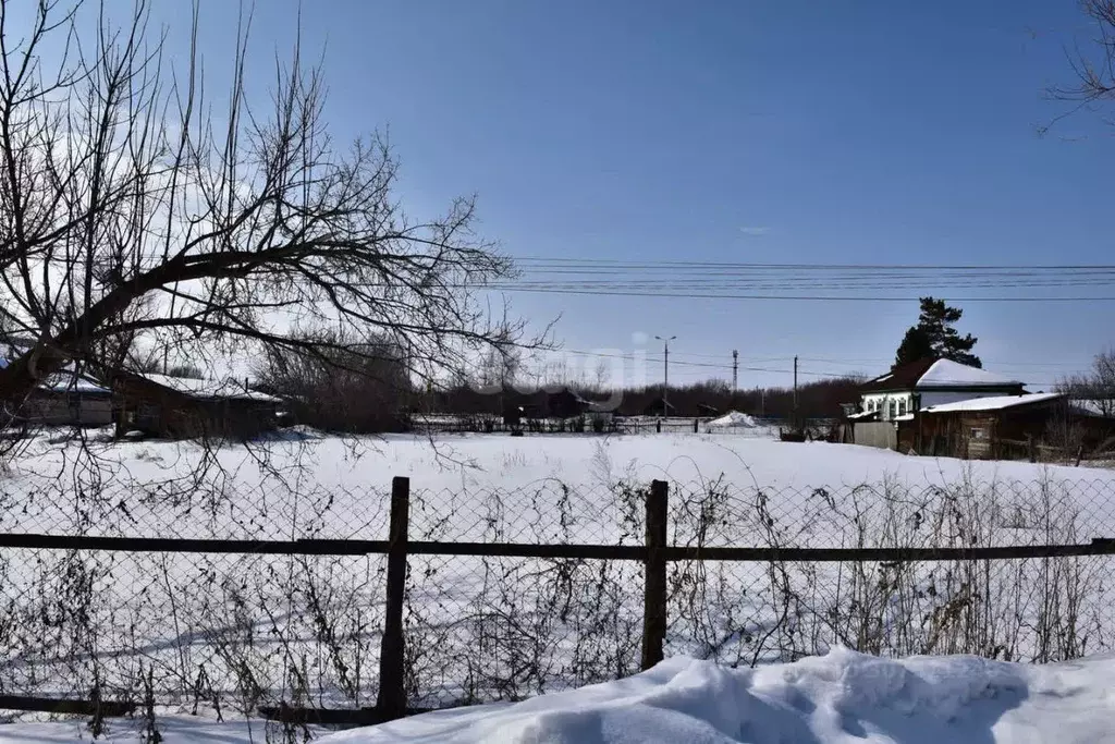 Участок в Алтайский край, Красногорский район, с. Березовка ул. ... - Фото 0