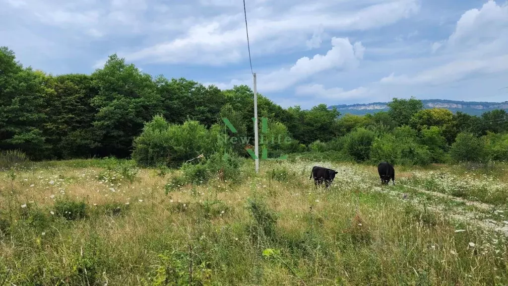 Участок в Адыгея, Майкопский район, Даховская ст-ца  (8.0 сот.) - Фото 1
