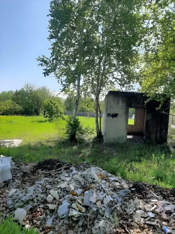 Участок в Амурская область, Благовещенский район, с. Чигири, Колос ... - Фото 0