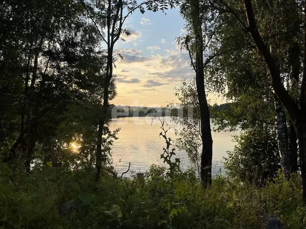 Участок в Тульская область, Дубенский район, Протасовское ... - Фото 1