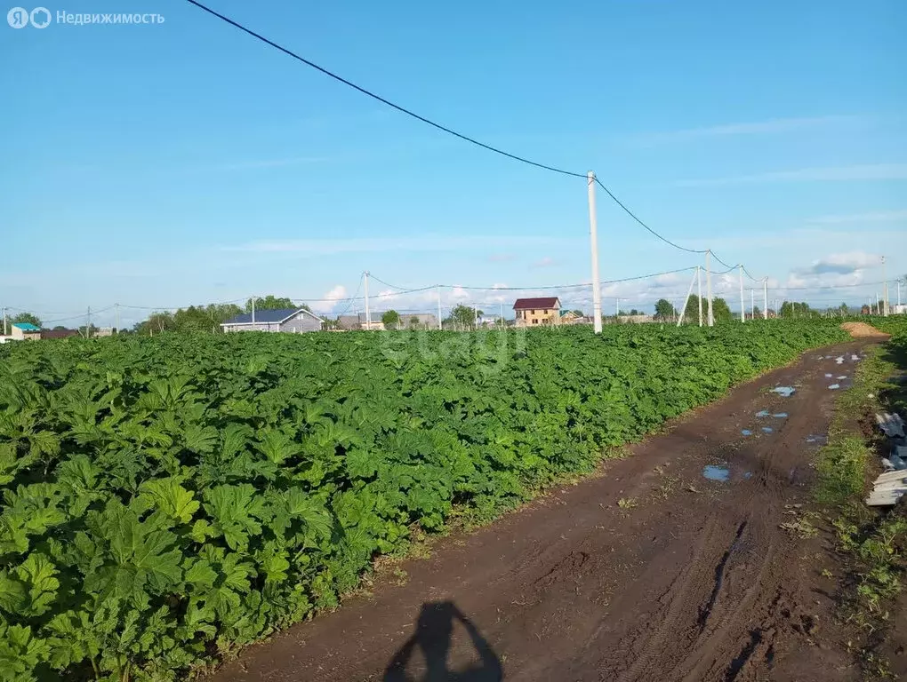 Участок в село Выльгорт, улица 70 лет Победы (8 м) - Фото 0