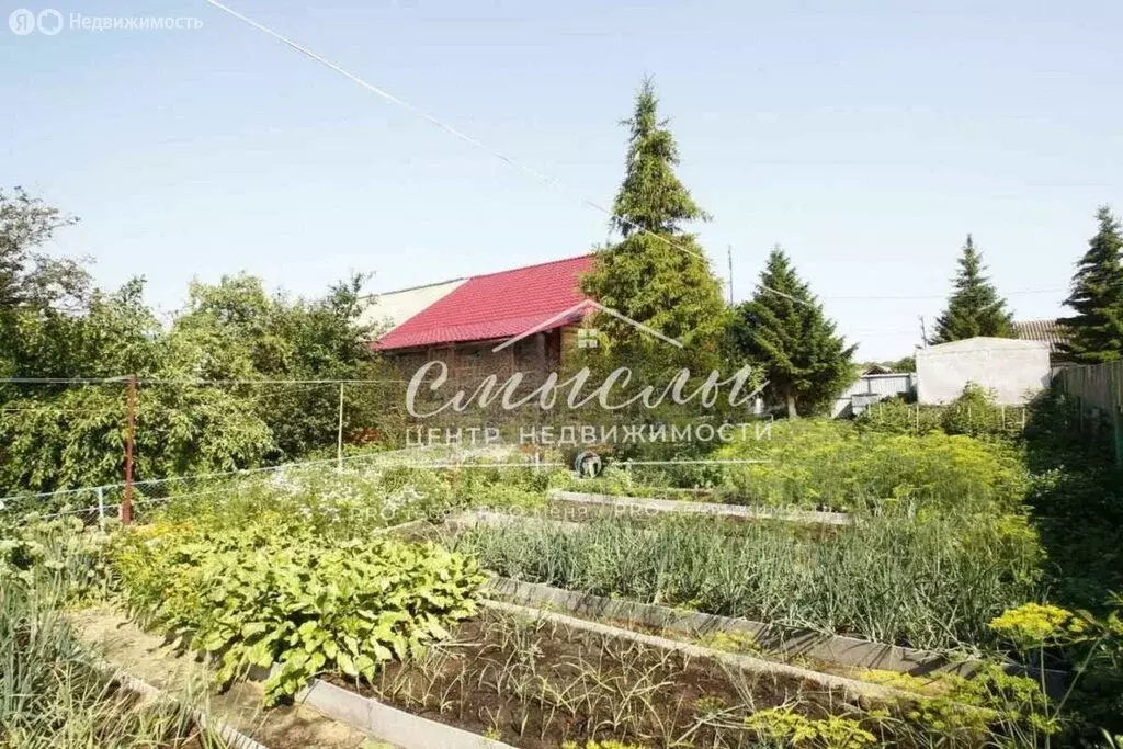 Дом в Тюменская область, Ялуторовский муниципальный округ, село ... - Фото 2