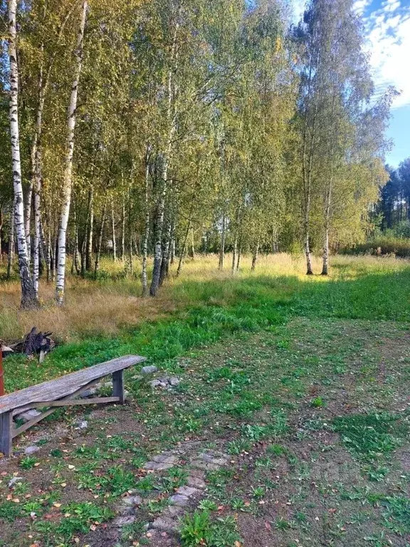 Участок в Московская область, Воскресенск городской округ, Имени ... - Фото 2