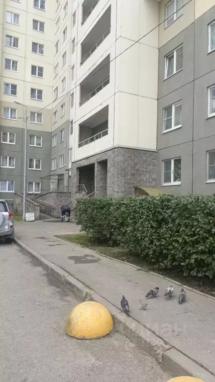 Комната Санкт-Петербург просп. Героев, 26к2 (16.0 м) - Фото 2