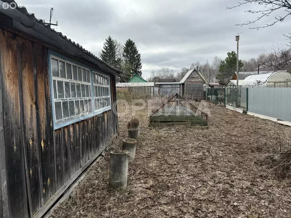 Участок в Тюмень, территория СОСН Рябинка (3.89 м) - Фото 2