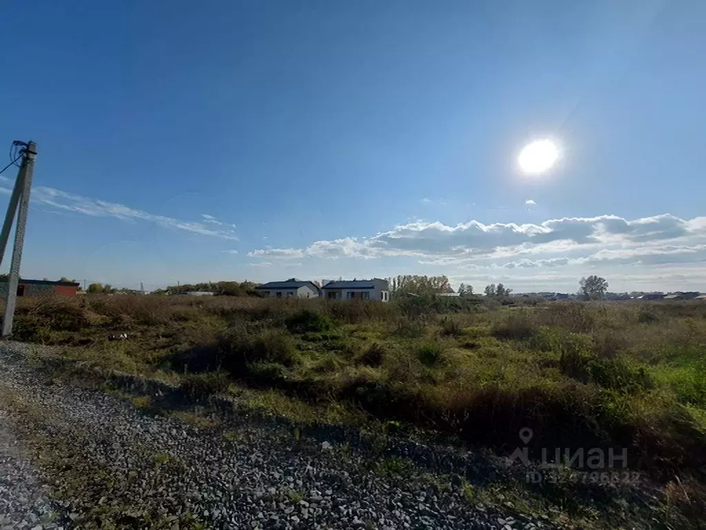 Участок в Новосибирская область, Новосибирский район, Морской ... - Фото 1