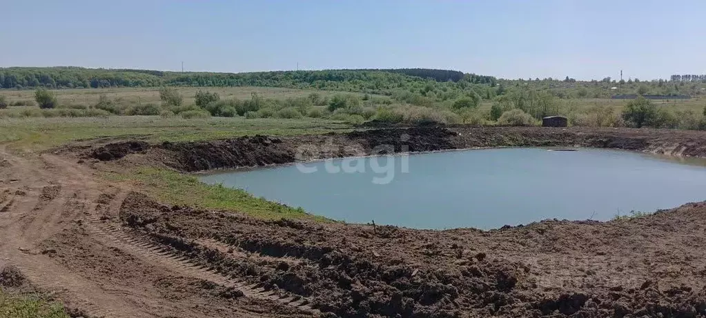 Участок в Мордовия, Лямбирский район, Берсеневское с/пос, с. ... - Фото 0