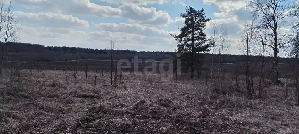 Участок в Вологодская область, д. Тропино  (13.0 сот.) - Фото 2