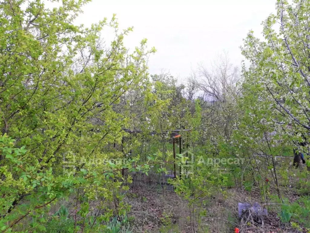 Дом в Волгоградская область, Волгоград Восход СНТ,  (20 м) - Фото 2