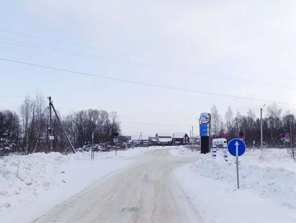 Участок в Ярославская область, Ярославский муниципальный округ, д. ... - Фото 1