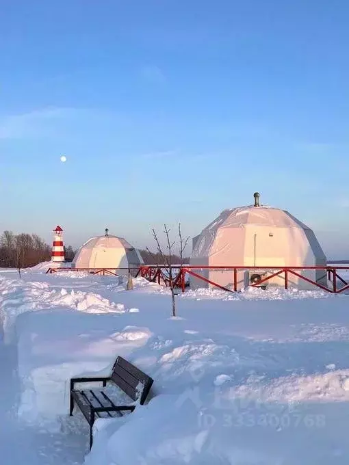 Дом в Пензенская область, Кузнецкий район, с. Махалино, Массив жилых ... - Фото 2