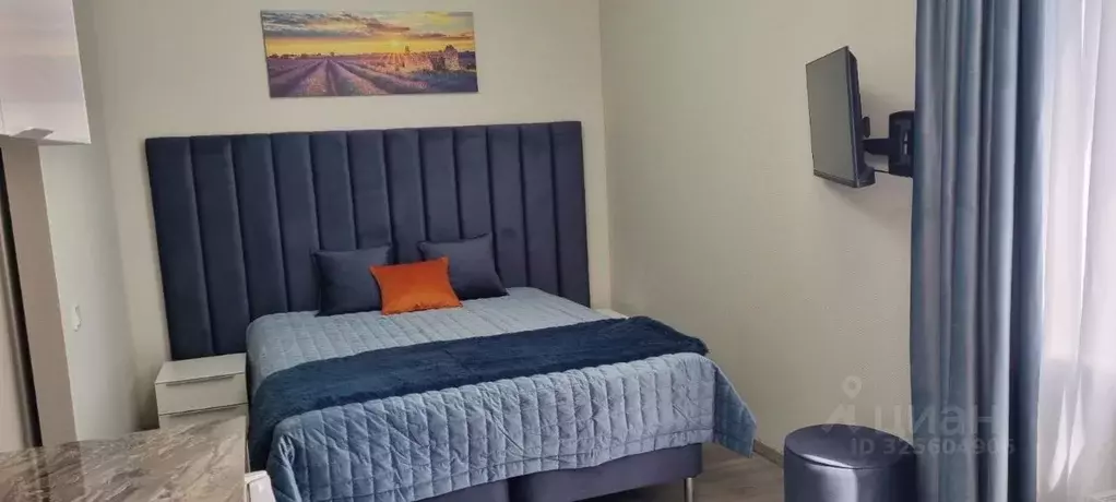 Студия Санкт-Петербург Витебский просп., 99к1 (24.0 м) - Фото 1