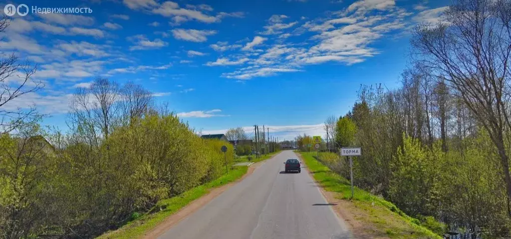 Участок в Пустомержское сельское поселение, деревня Торма (20 м) - Фото 1