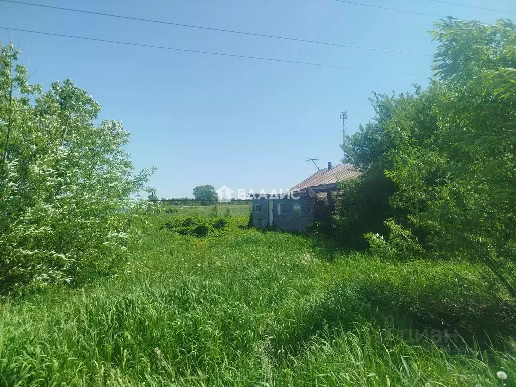 Участок в Пензенская область, Бессоновский район, с. Кижеватово ул. ... - Фото 2