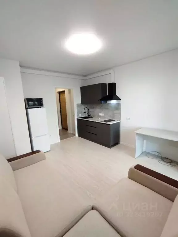 Студия Санкт-Петербург пос. Шушары, просп. Старорусский, 5к2 (20.4 м) - Фото 1