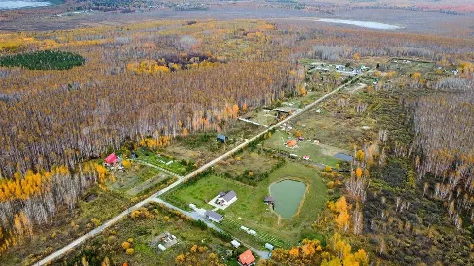 Участок в Тюменская область, Нижнетавдинский район, Геофизик 2 СНТ  ... - Фото 0