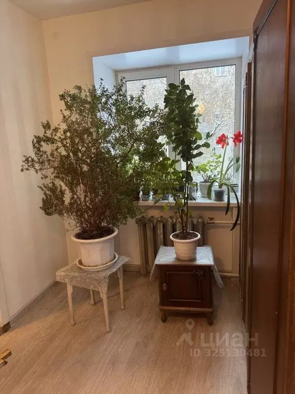 2-к кв. Свердловская область, Екатеринбург ул. Военная, 13 (40.1 м) - Фото 1