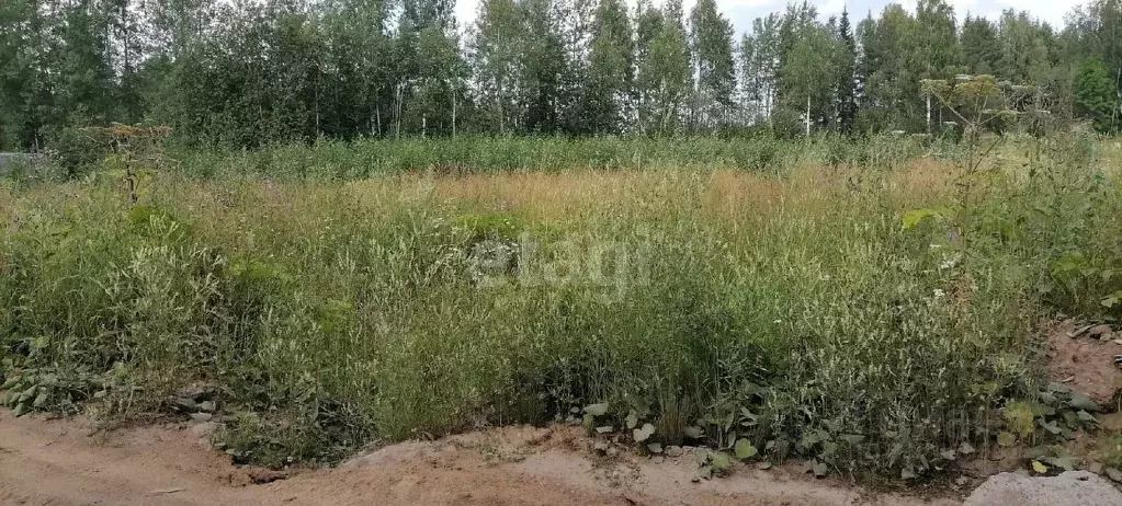 Участок в Коми, Сыктывдинский район, Выльгорт муниципальное ... - Фото 1