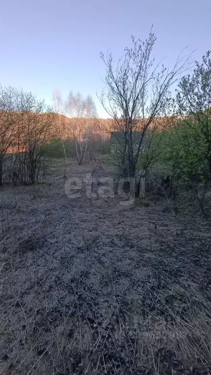 Участок в Алтай, Майминский район, Березка садоводческое товарищество ... - Фото 1
