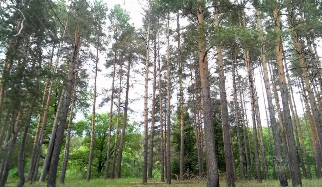 Участок в Московская область, Красногорск городской округ, ... - Фото 1