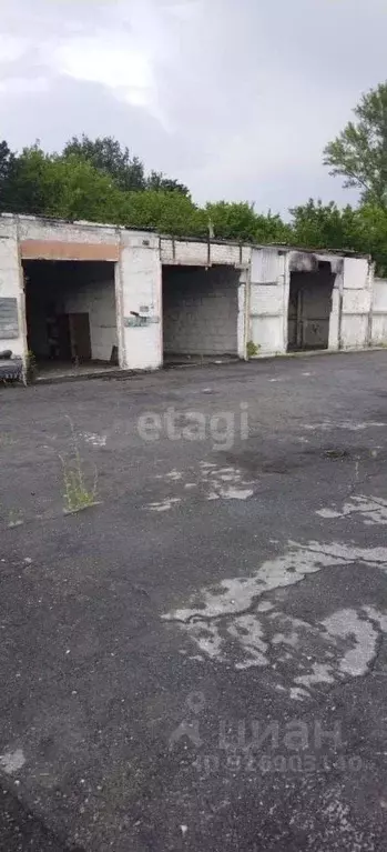 Участок в Белгородская область, Новооскольский муниципальный округ, ... - Фото 1